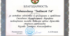 Вклад в патриотическое воспитание